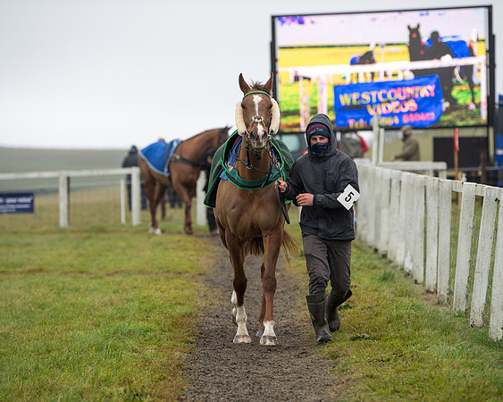 Race 3 - Young Horse maiden (3 of 93)