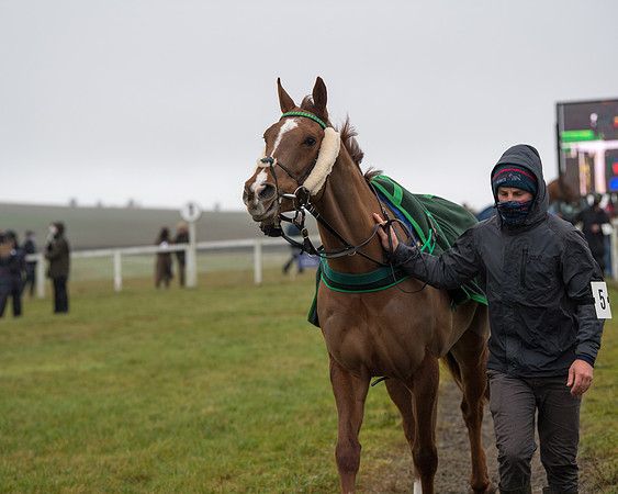 Race 3 - Young Horse maiden (4 of 93)