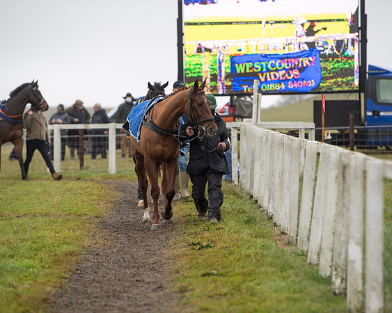 Race 3 - Young Horse maiden (5 of 93)