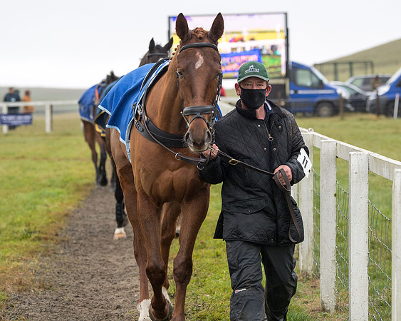 Race 3 - Young Horse maiden (6 of 93)