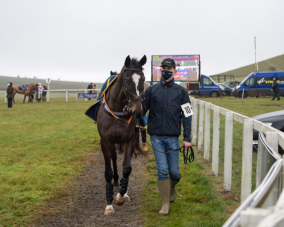 Race 3 - Young Horse maiden (7 of 93)