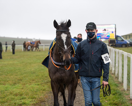Race 3 - Young Horse maiden (8 of 93)