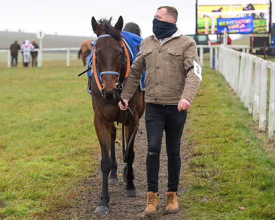 Race 3 - Young Horse maiden (9 of 93)