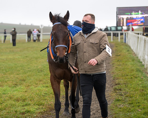 Race 3 - Young Horse maiden (10 of 93)