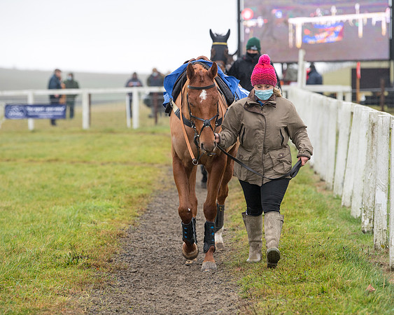Race 3 - Young Horse maiden (11 of 93)