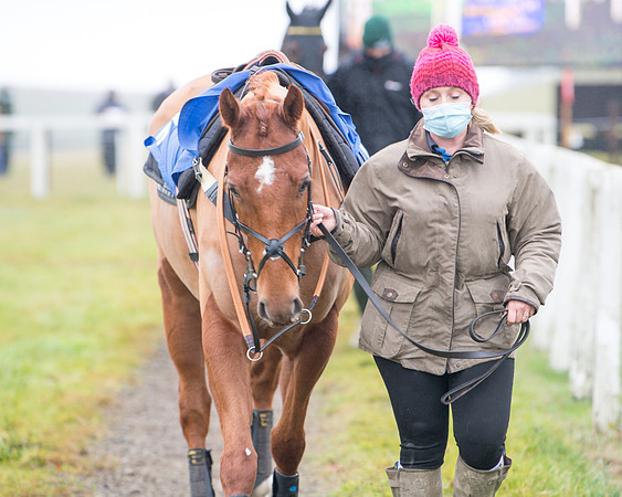 Race 3 - Young Horse maiden (12 of 93)