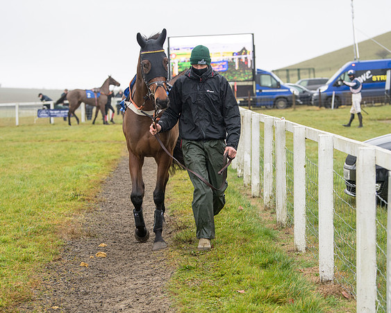 Race 3 - Young Horse maiden (13 of 93)
