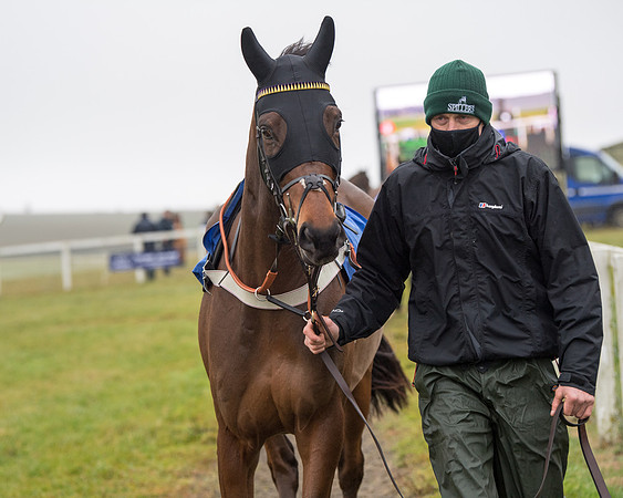Race 3 - Young Horse maiden (14 of 93)