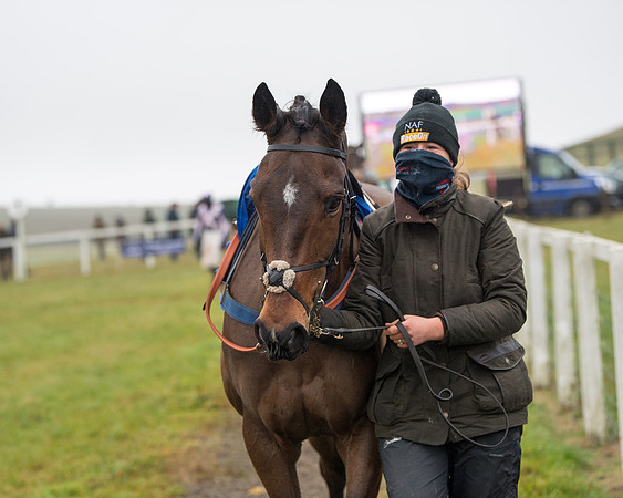 Race 3 - Young Horse maiden (15 of 93)