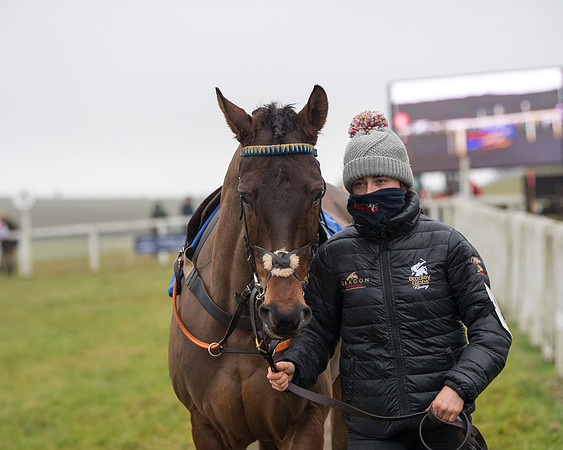 Race 3 - Young Horse maiden (16 of 93)
