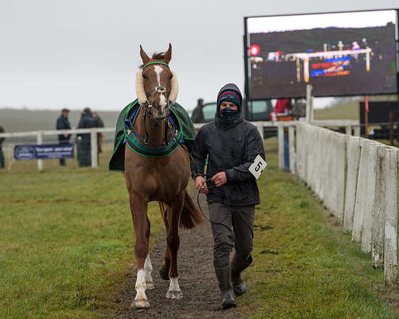 Race 3 - Young Horse maiden (17 of 93)