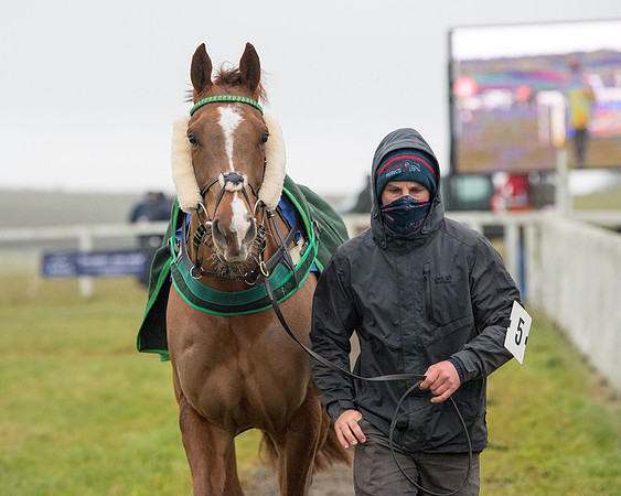 Race 3 - Young Horse maiden (18 of 93)