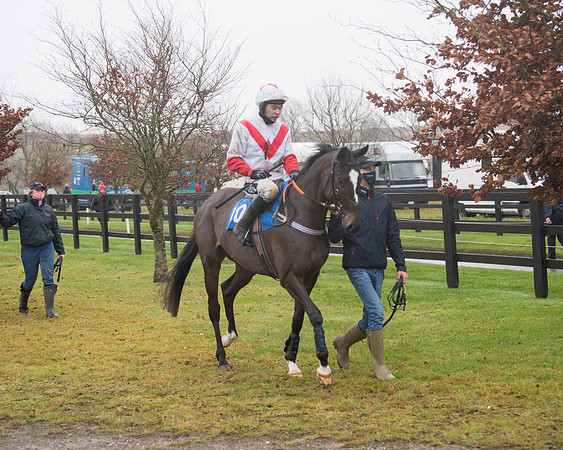 Race 3 - Young Horse maiden (19 of 93)