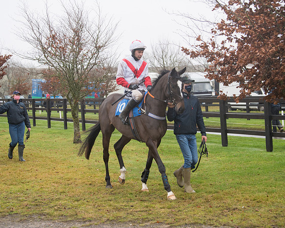 Race 3 - Young Horse maiden (20 of 93)