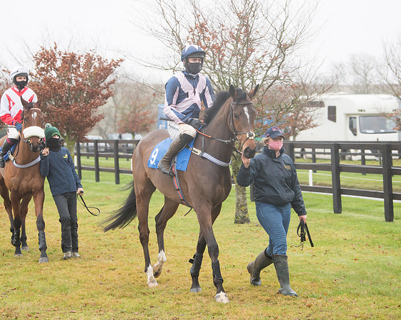 Race 3 - Young Horse maiden (21 of 93)
