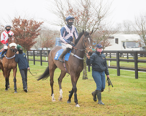 Race 3 - Young Horse maiden (22 of 93)