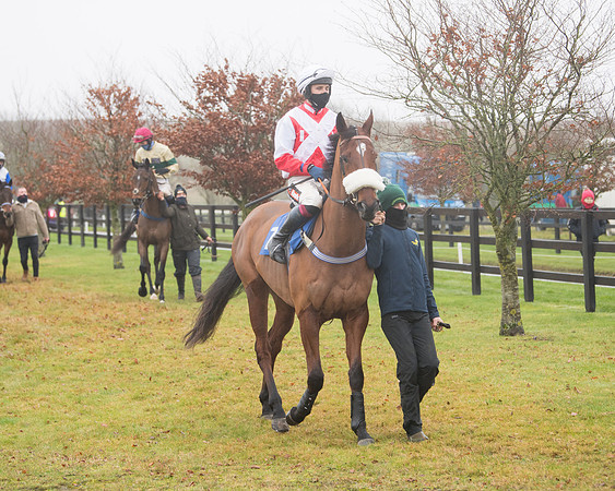 Race 3 - Young Horse maiden (23 of 93)