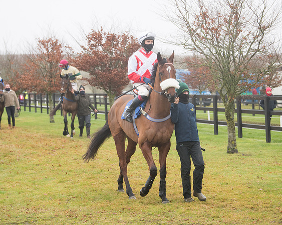 Race 3 - Young Horse maiden (24 of 93)