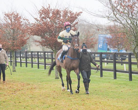 Race 3 - Young Horse maiden (25 of 93)