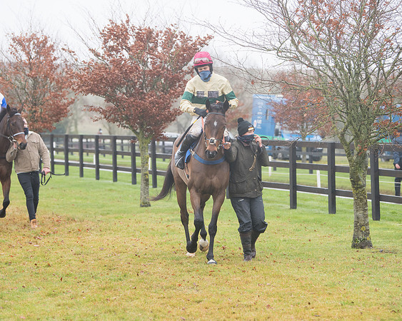 Race 3 - Young Horse maiden (26 of 93)