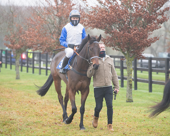 Race 3 - Young Horse maiden (27 of 93)