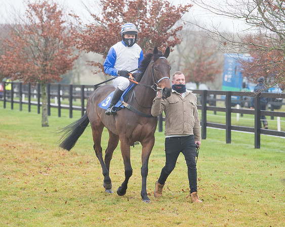 Race 3 - Young Horse maiden (28 of 93)