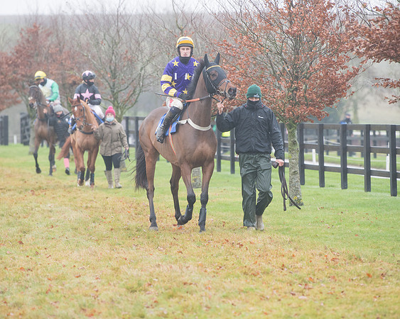 Race 3 - Young Horse maiden (29 of 93)