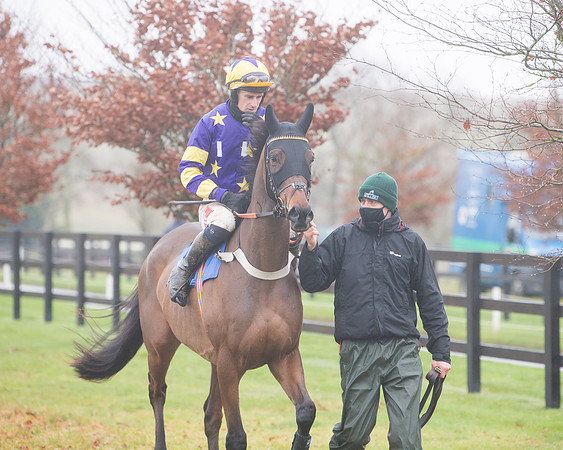 Race 3 - Young Horse maiden (30 of 93)