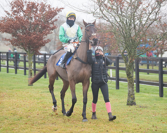 Race 3 - Young Horse maiden (34 of 93)