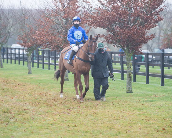 Race 3 - Young Horse maiden (35 of 93)