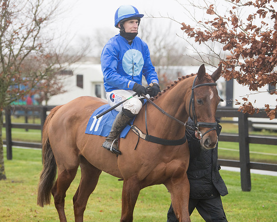 Race 3 - Young Horse maiden (37 of 93)