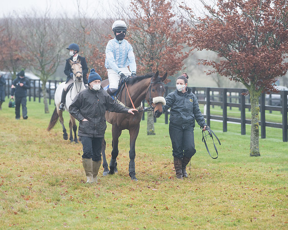 Race 3 - Young Horse maiden (38 of 93)