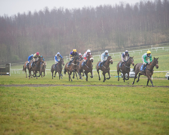 Race 3 - Young Horse maiden (40 of 93)