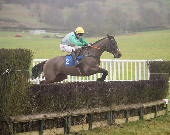 Race 3 - Young Horse maiden (42 of 93)