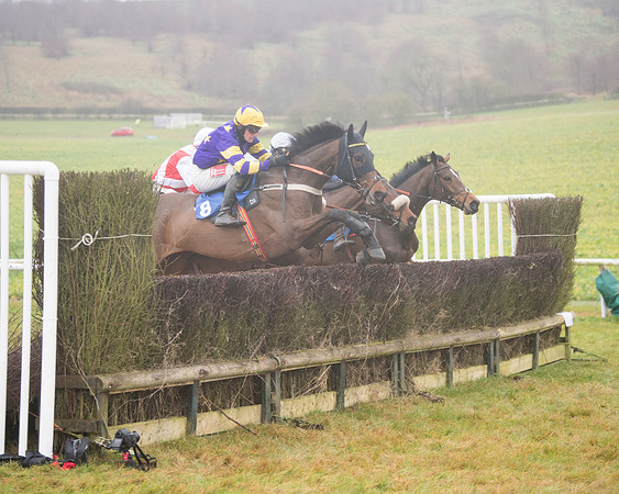 Race 3 - Young Horse maiden (44 of 93)
