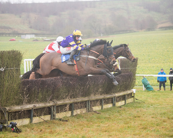 Race 3 - Young Horse maiden (45 of 93)