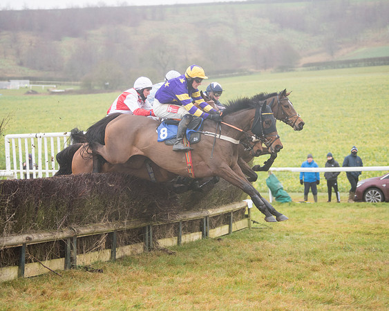 Race 3 - Young Horse maiden (46 of 93)