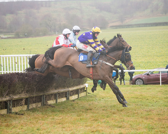 Race 3 - Young Horse maiden (47 of 93)