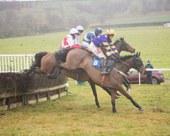 Race 3 - Young Horse maiden (48 of 93)