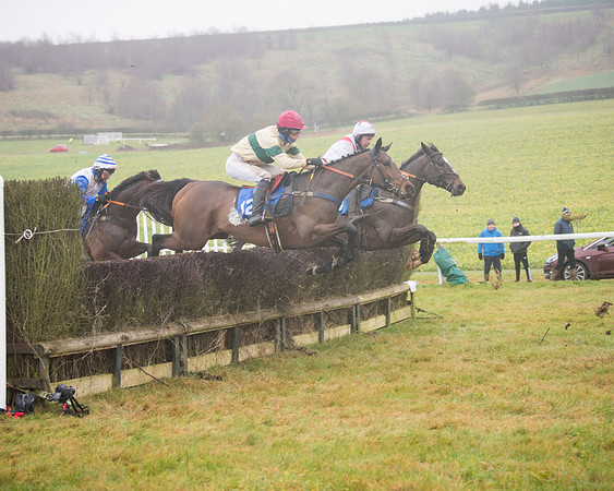 Race 3 - Young Horse maiden (50 of 93)