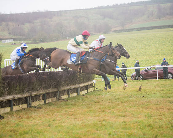Race 3 - Young Horse maiden (51 of 93)