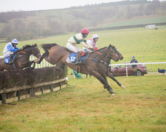Race 3 - Young Horse maiden (52 of 93)