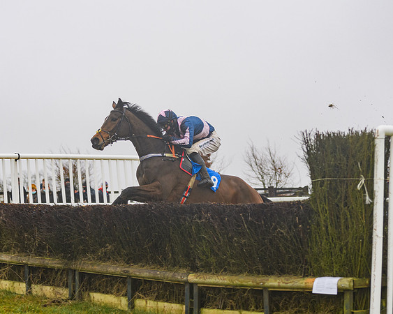 Race 3 - Young Horse maiden (53 of 93)