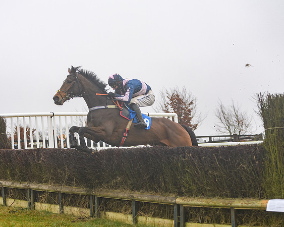 Race 3 - Young Horse maiden (54 of 93)