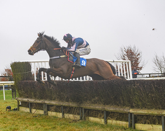 Race 3 - Young Horse maiden (55 of 93)