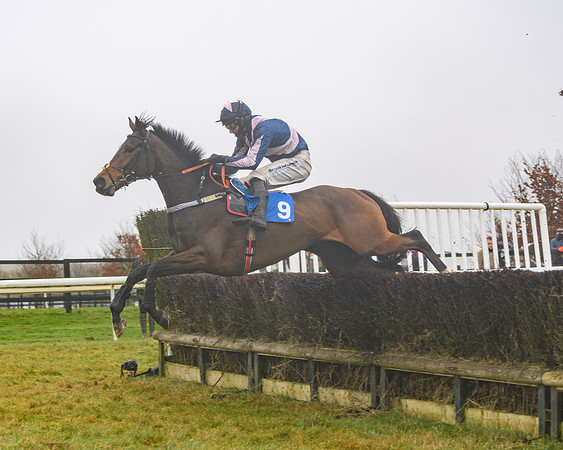 Race 3 - Young Horse maiden (56 of 93)