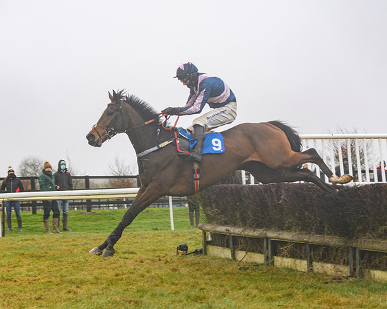 Race 3 - Young Horse maiden (57 of 93)