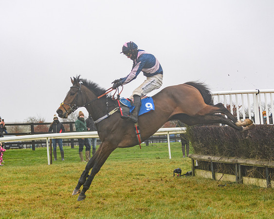 Race 3 - Young Horse maiden (58 of 93)