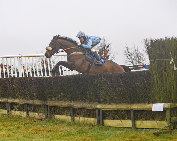 Race 3 - Young Horse maiden (59 of 93)