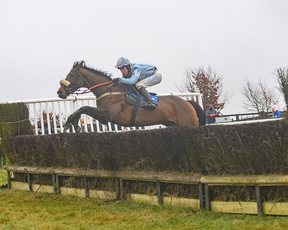 Race 3 - Young Horse maiden (60 of 93)